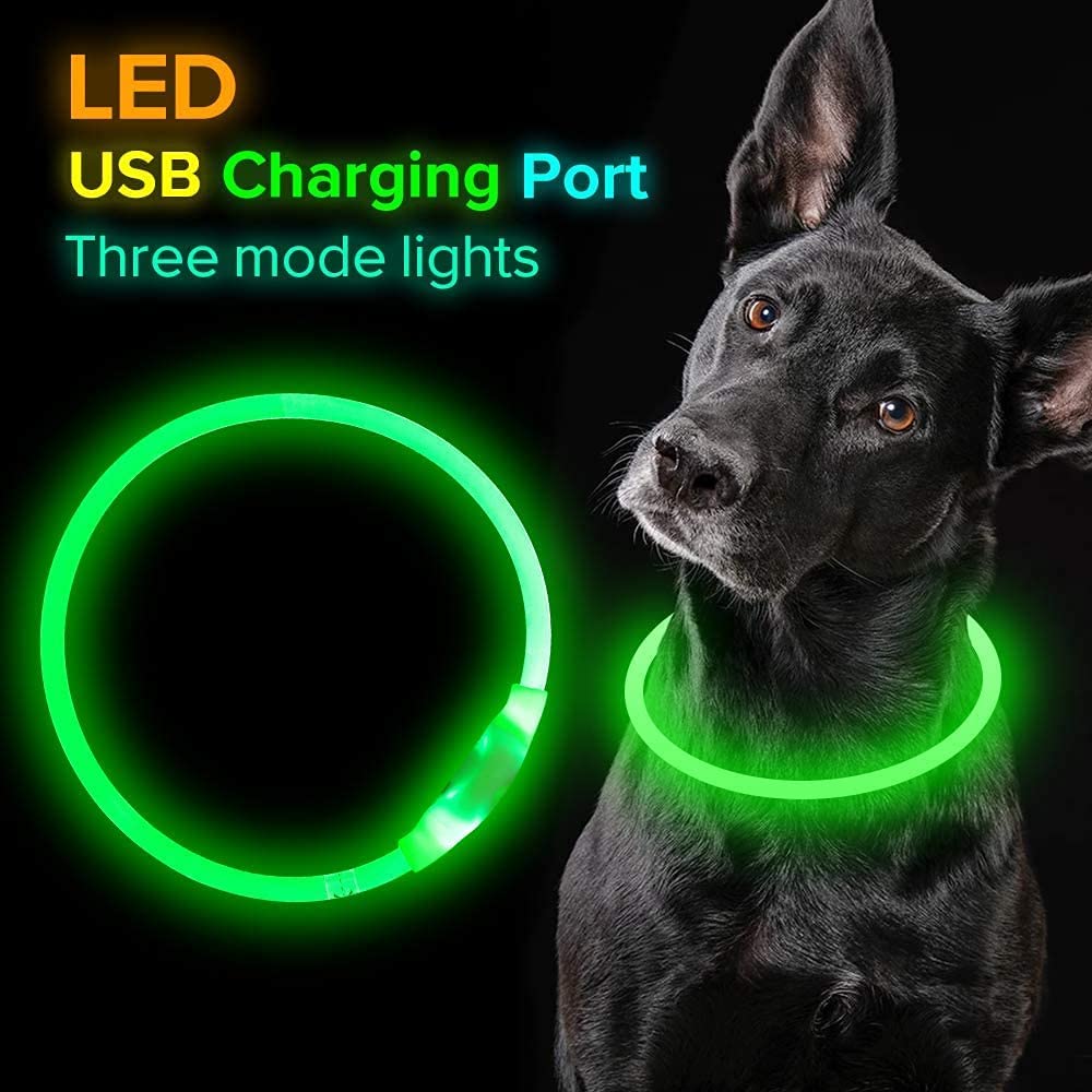 Ev Pet Supplies - USB Rechargeable, Glowing Pet Dog Collar for Night Safety