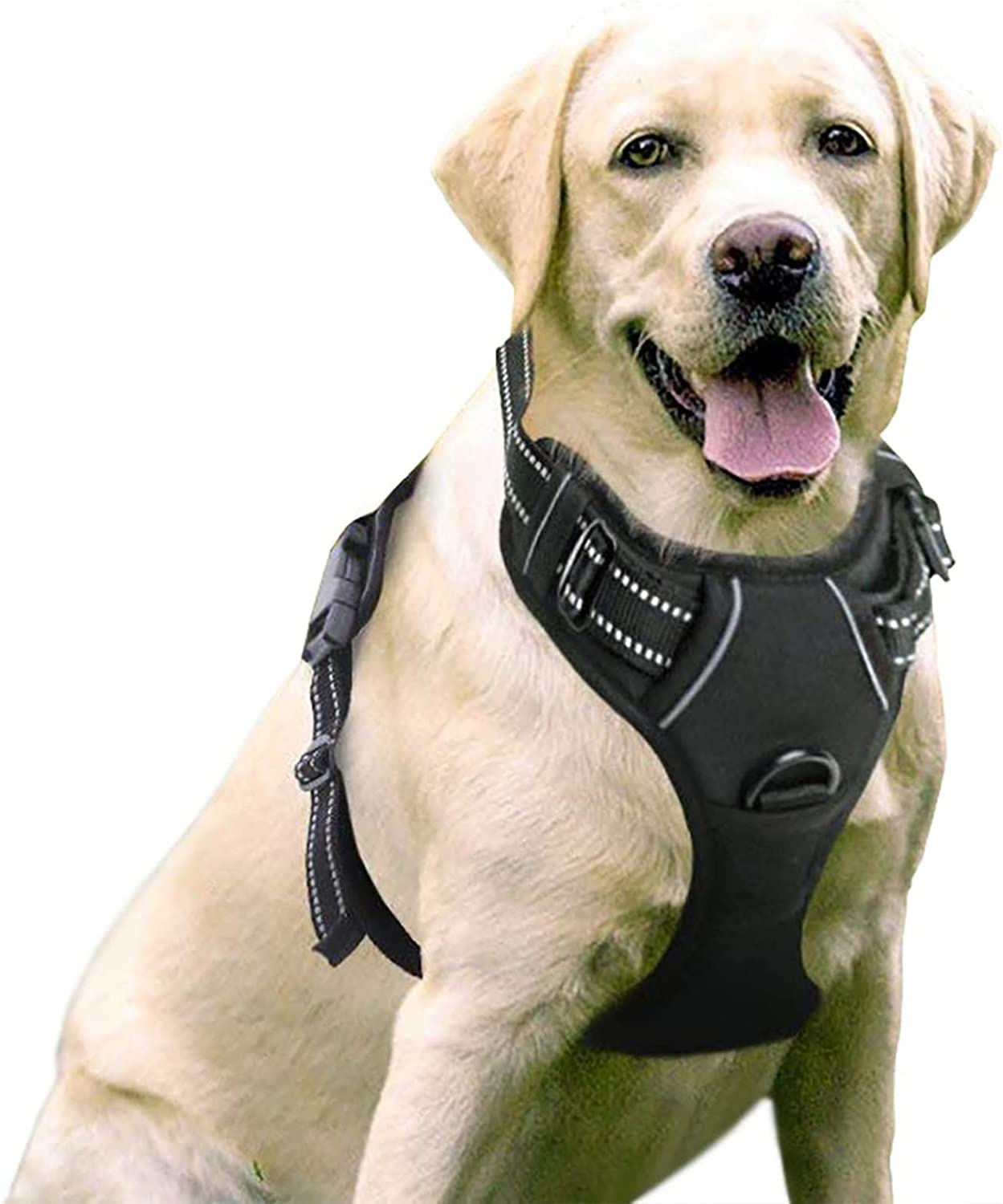 Ev Pet Supplies - No-Pull Pet Harness with 2 Leash Clips, Adjustable Soft Padded Dog Vest, Reflective Outdoor