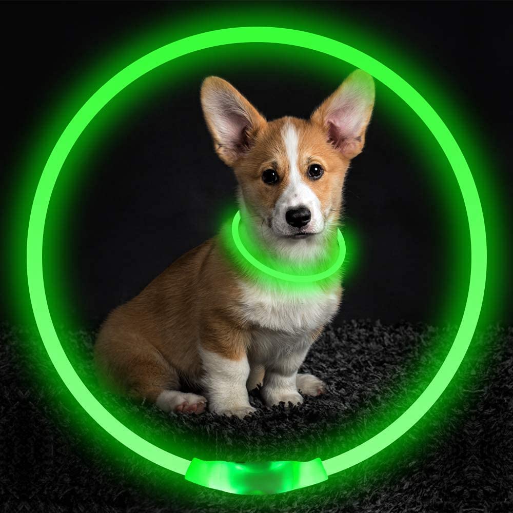 Ev Pet Supplies - USB Rechargeable, Glowing Pet Dog Collar for Night Safety