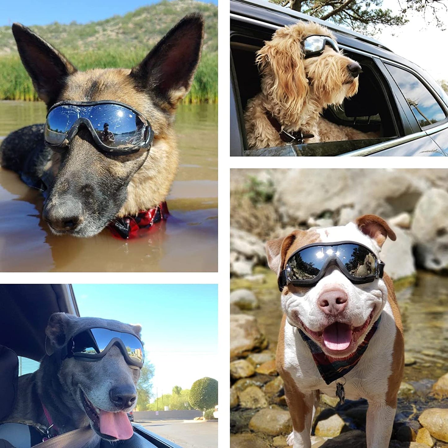 Ev Pet Supplies - Dog Goggles Adjustable Strap for Travel Skiing and Anti-Fog