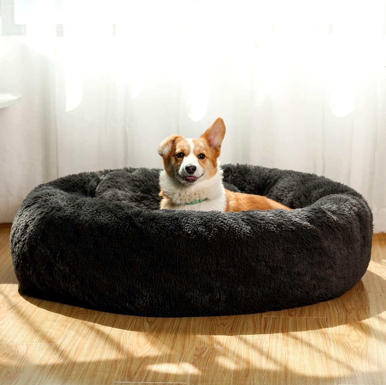 Ev Pet Supplies - Comfortable Dog Bed for Medium Dogs with Removable Cushion