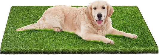 Ev Pet Supplies - Dog Pee Pads, Professional Dog Poop Training Rug, Large Dog Grass Mat with Drainage Holes, Pet Turf Indoor Outdoor Flooring Fake Grass Doormat