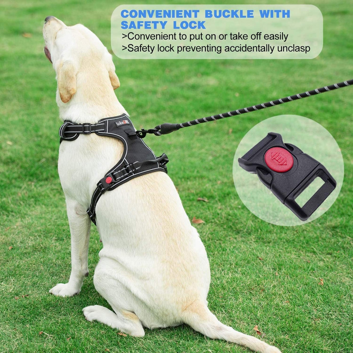 Ev Pet Supplies - Free Heavy Duty 5ft Dog Leash No Pull Dog Harness Adjustable Reflective Oxford Easy Control Medium Large Dog Harness with A