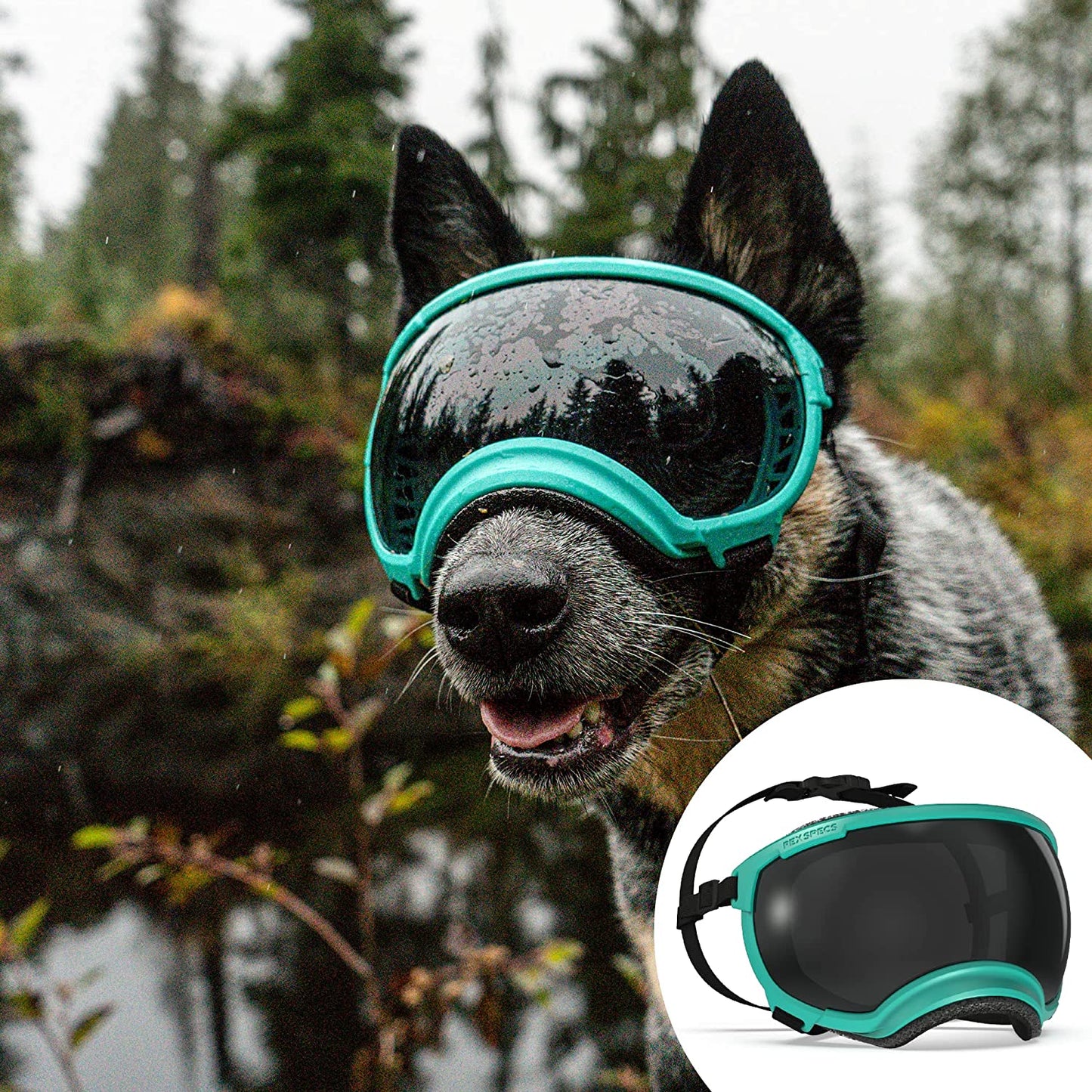 Ev Pet Supplies - Breathable Dog Goggles